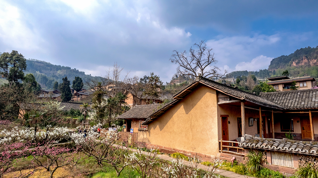 春日的蓝天白云下小山村农家院的房前屋后桃花盛开