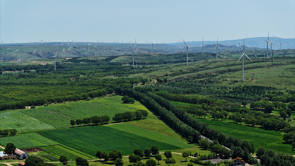 夏日绿色大草原上新能源发电站电脑壁纸河北张家口风光