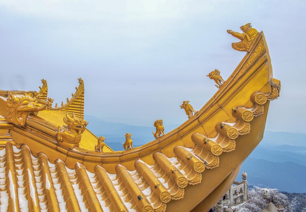 金黄色的房橼上一层薄薄的白雪