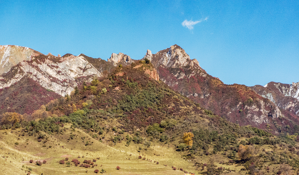 蓝天白云下的雪山和山谷中的灌木丛