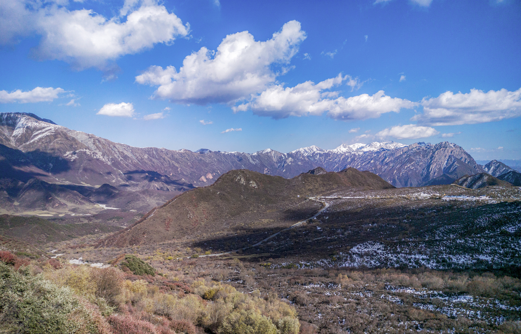 蓝天白云下的雪山和山谷中的灌木丛