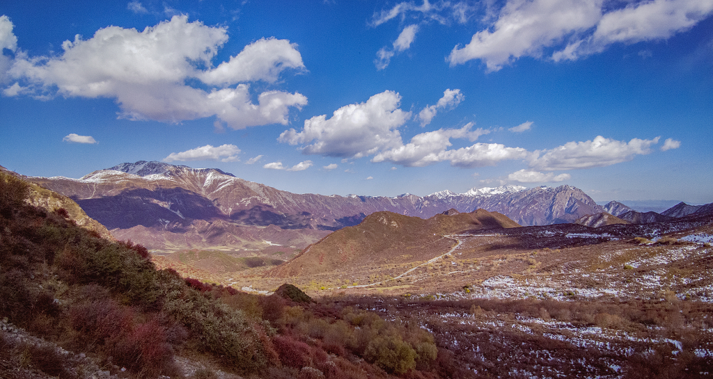 蓝天白云下的雪山和山谷中的灌木丛