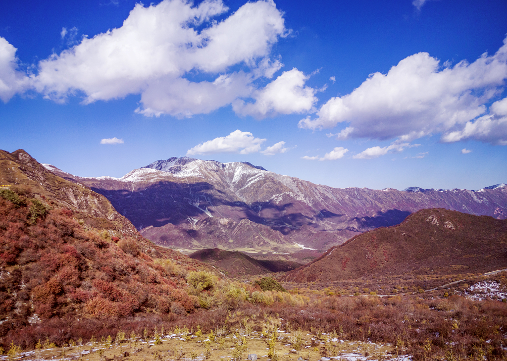 蓝天白云下的雪山和山谷中的灌木丛