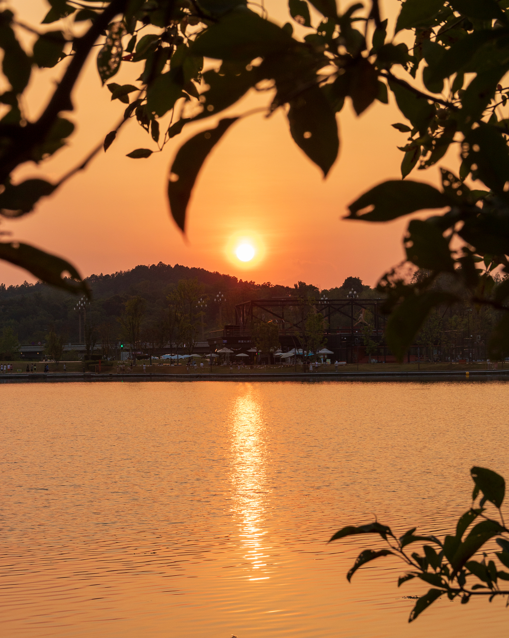 夕阳下太阳照在湖面的唯美场景