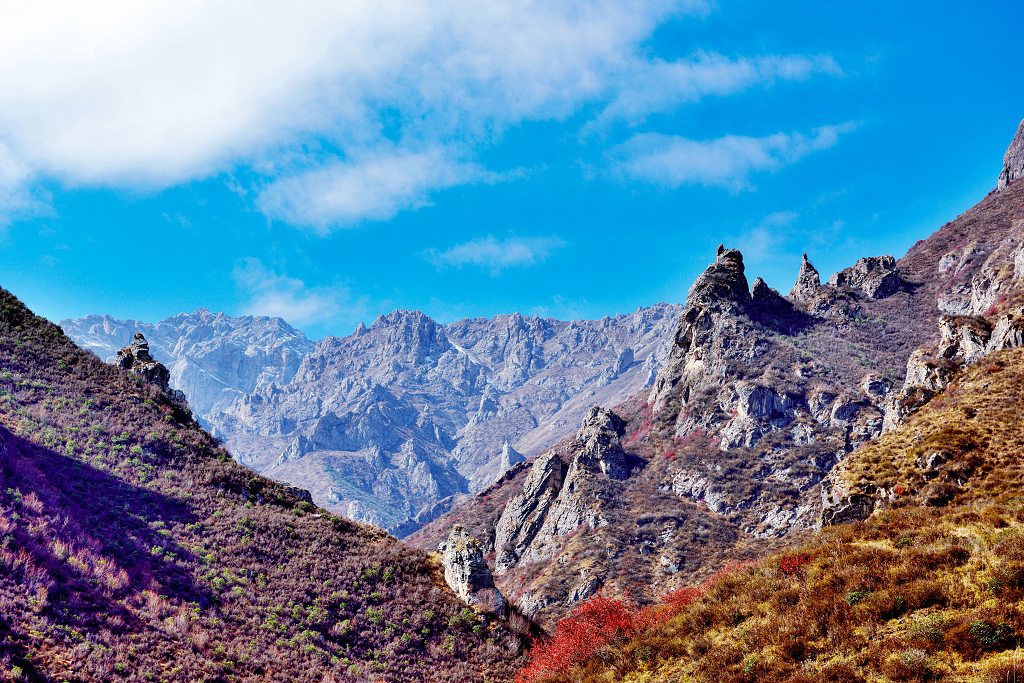 秋日的蓝天白云下的群山和红色的灌木丛