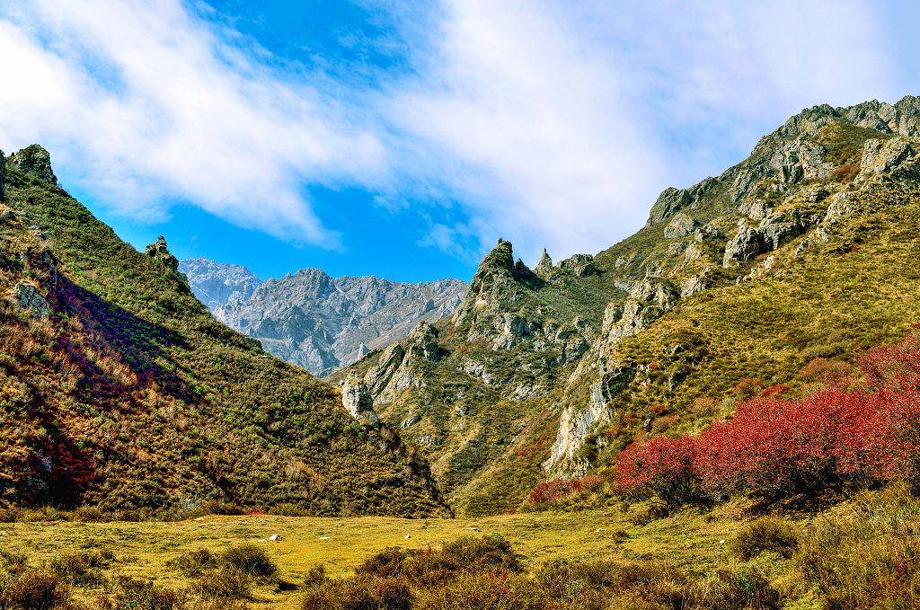 秋日的蓝天白云下的群山草原和红色的灌木丛