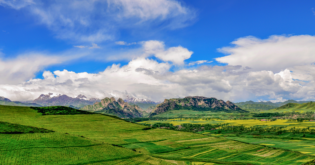 夏日的清晨蓝天白云山脚下的小山村里油菜花盛开