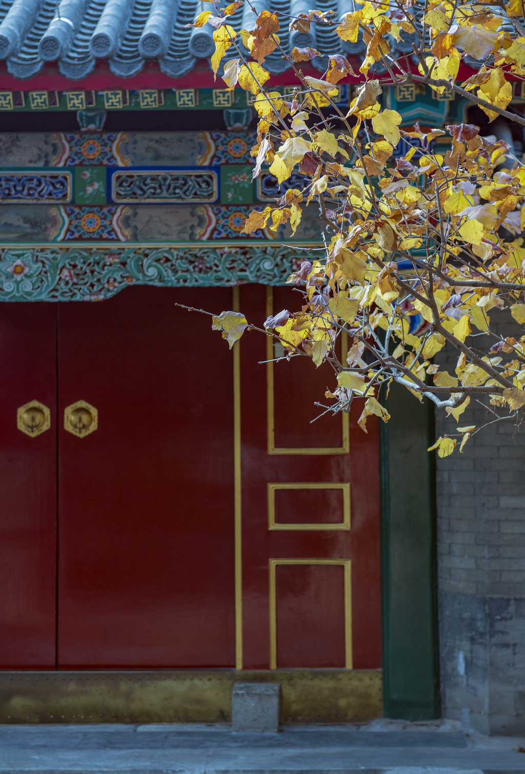 古建筑红色大门前的一缕黄叶