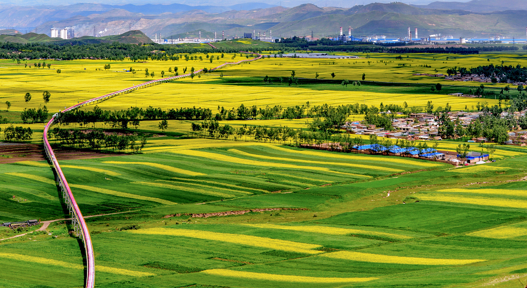 晴朗的夏日金黄色的油菜花地里穿过的工业长廊