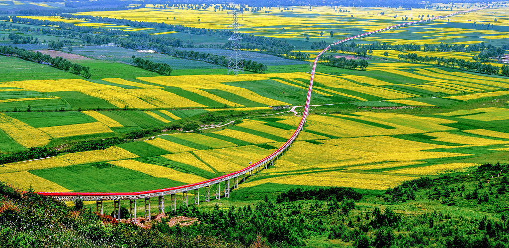 晴朗的夏日金黄色的油菜花地里穿过的工业长廊