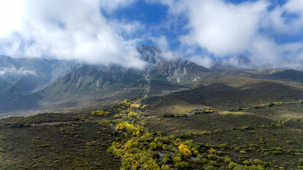 秋天航拍云雾缭绕的山峰和山下金黄色的树木