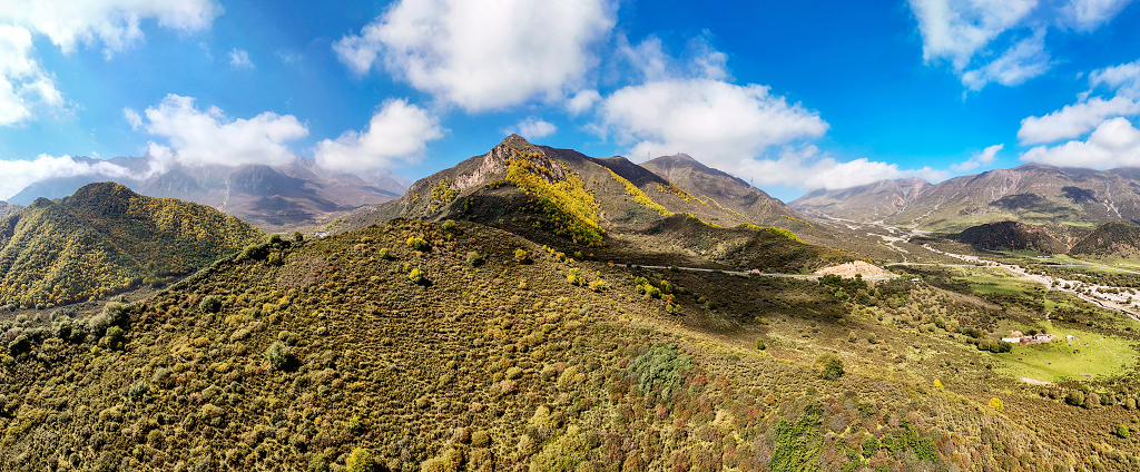 秋天航拍蓝天白云下山坡上金黄色的树木和灌木丛