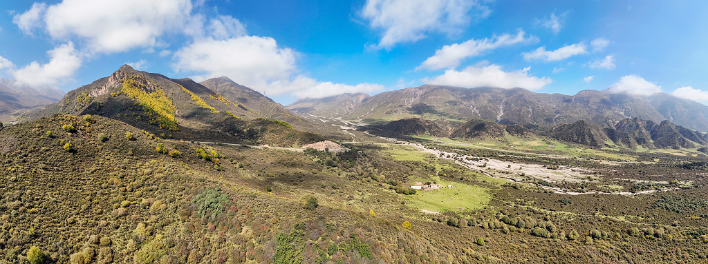 秋天航拍蓝天白云下山坡上金黄色的树木和灌木丛