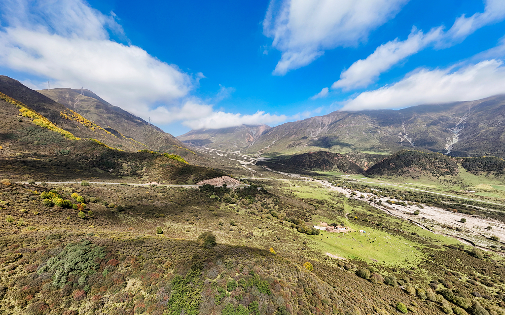 秋天航拍蓝天白云下山坡上金黄色的树木和灌木丛