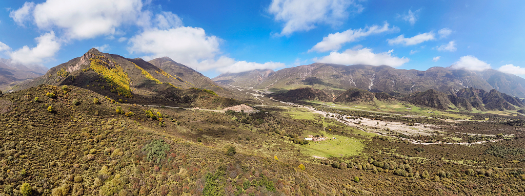 秋天航拍蓝天白云下山坡上金黄色的树木和灌木丛
