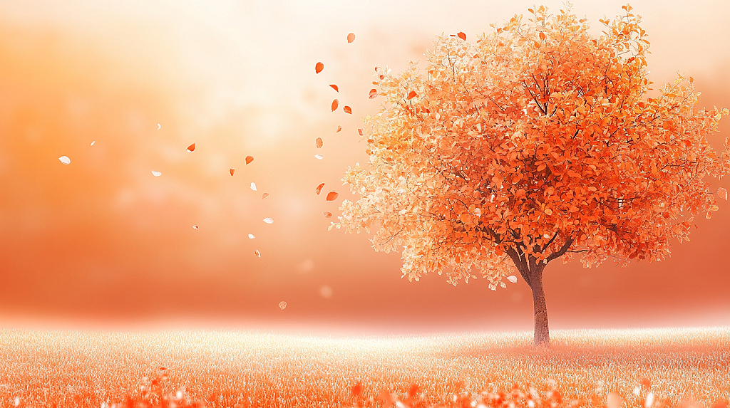 秋天树木树叶简约背景