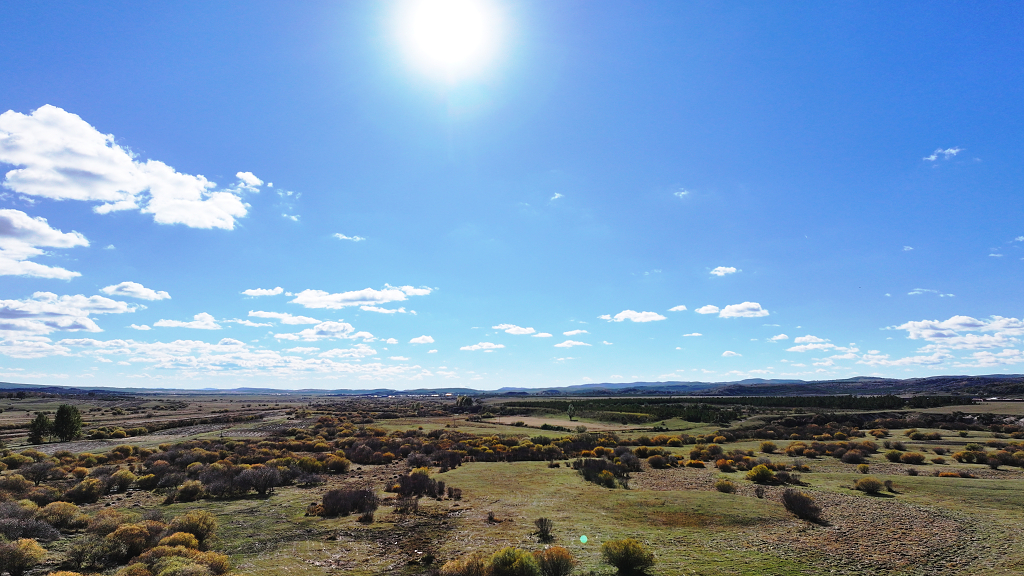 蓝天白云下辽阔草原内蒙古大草原秋色草原壁纸乌兰布统旅游