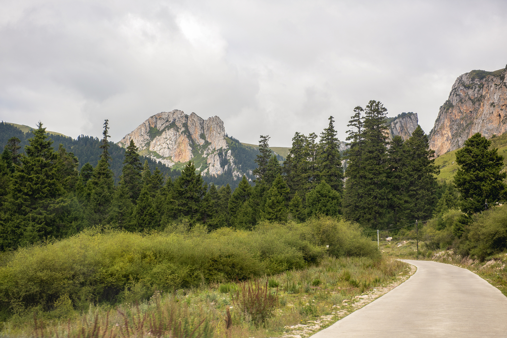 初秋的早晨云雾缭绕下的甘肃扎尕那的高山和树木