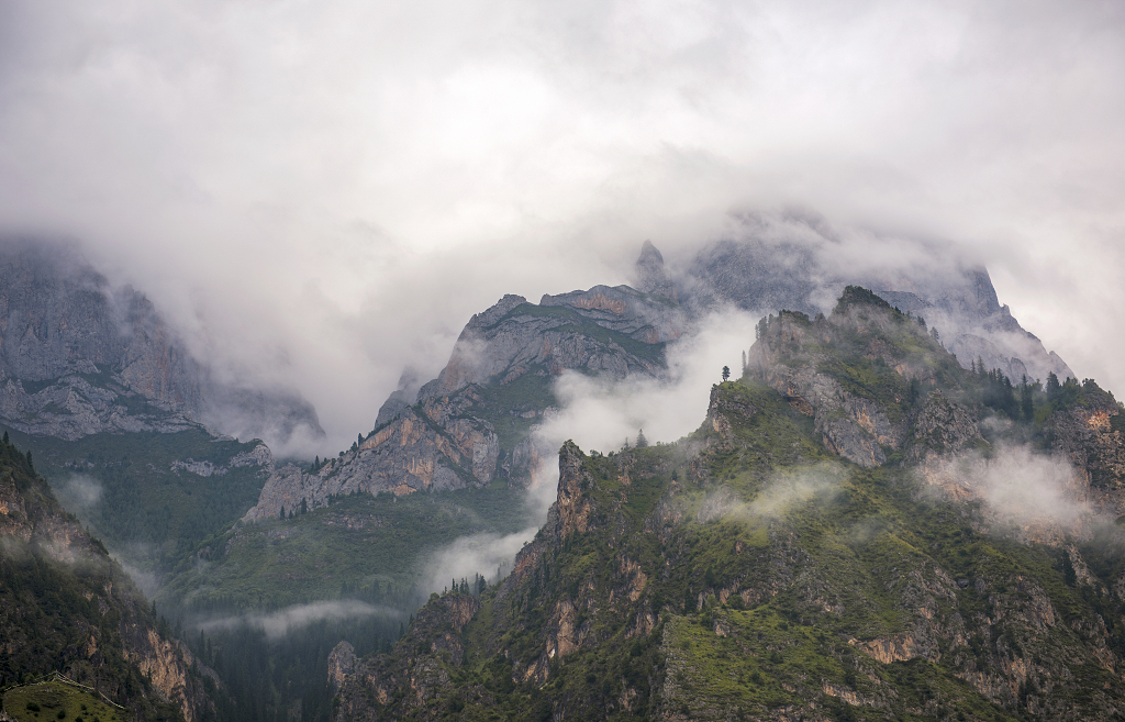 初秋的早晨云雾缭绕下的甘肃扎尕那的高山和树木