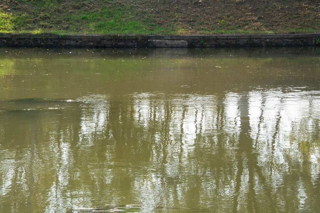 城市公园河流倒影
