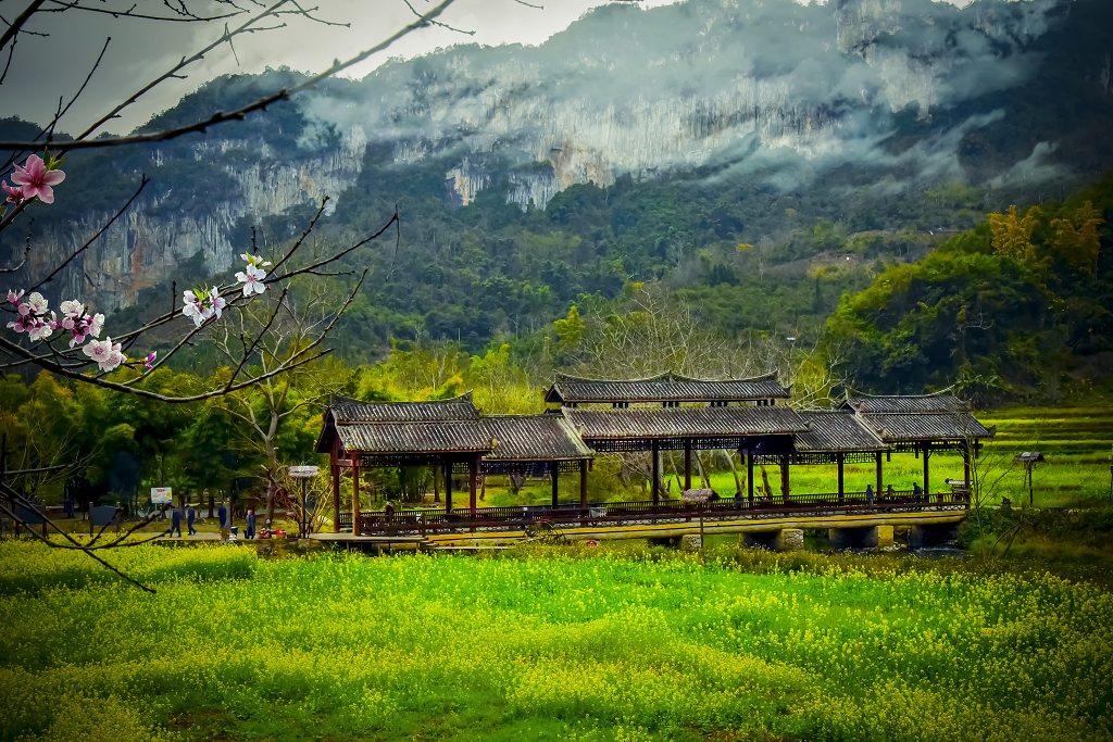 坝美世外桃源风雨桥春天桃花油菜花