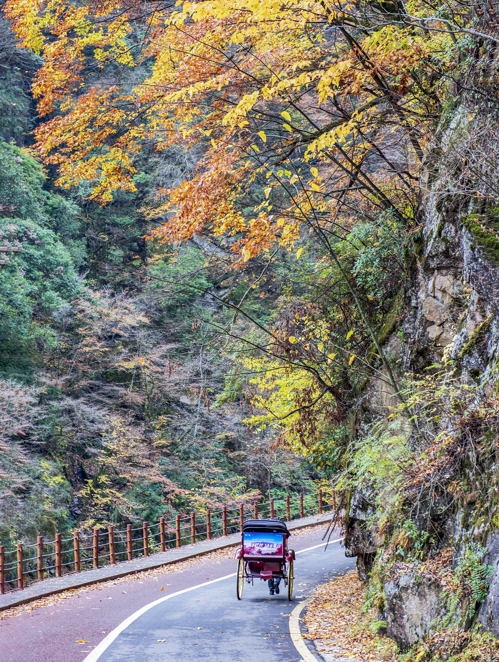 秋日的马路上行驶的一辆三轮车