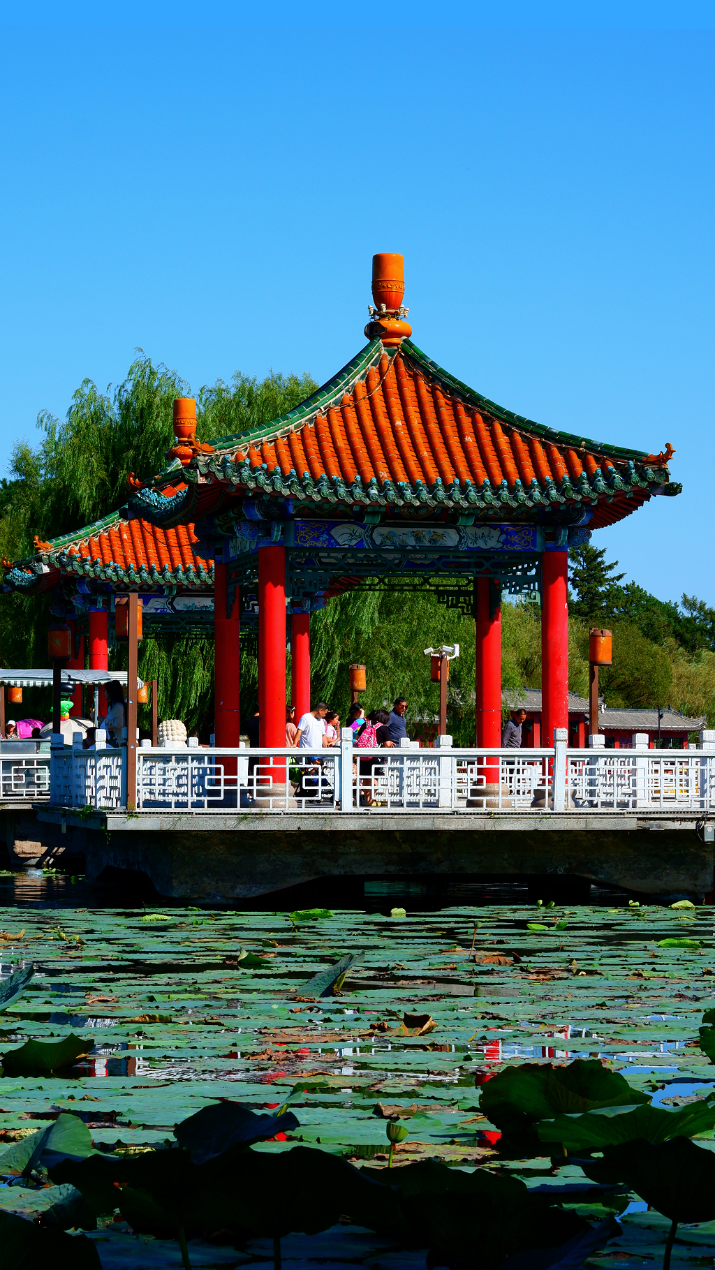 古风中国风建筑公园凉亭荷花夏天旅游自然风景图