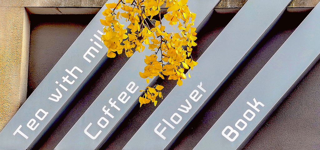 一块招牌上的一簇金黄色的银杏叶创意图广告牌