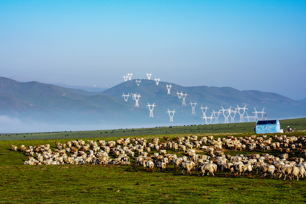 自然风景图大自然风景风光电脑壁纸大自然风景风光夏日的清晨高山牧场上一大群吃草的羊群和牧民的帐篷