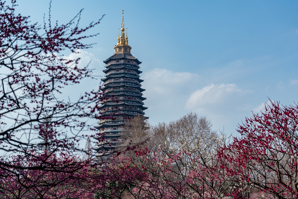 常州市红梅公园里拍摄到天宁宝塔春天旅游旺季风景风光