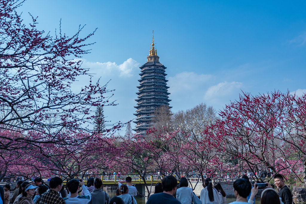 常州市红梅公园里拍摄到天宁宝塔春天人潮涌动的旅游旺季风景风光