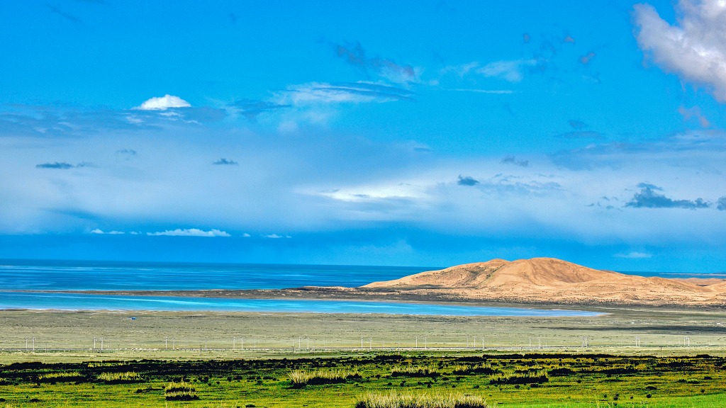 夏日青海湖畔的沙丘和草原大自然旅游旅行风景风光美景摄影图电脑桌面壁纸