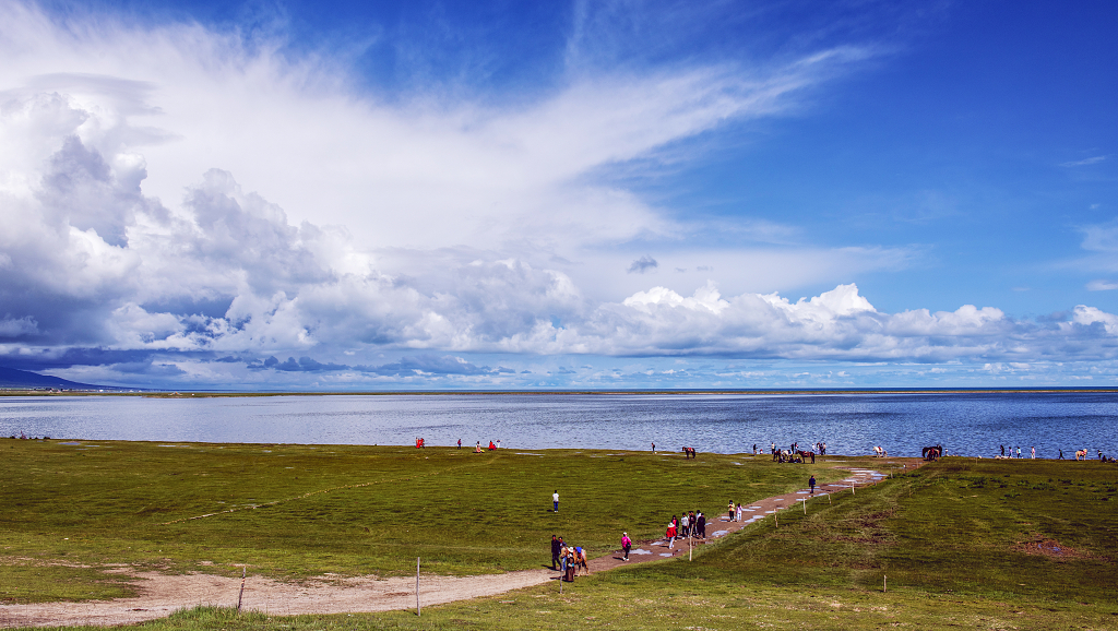 夏日的午后蓝天白云下的青海湖畔的游客在拍照大自然旅游旅行风景风光美景摄影图电脑桌面壁纸