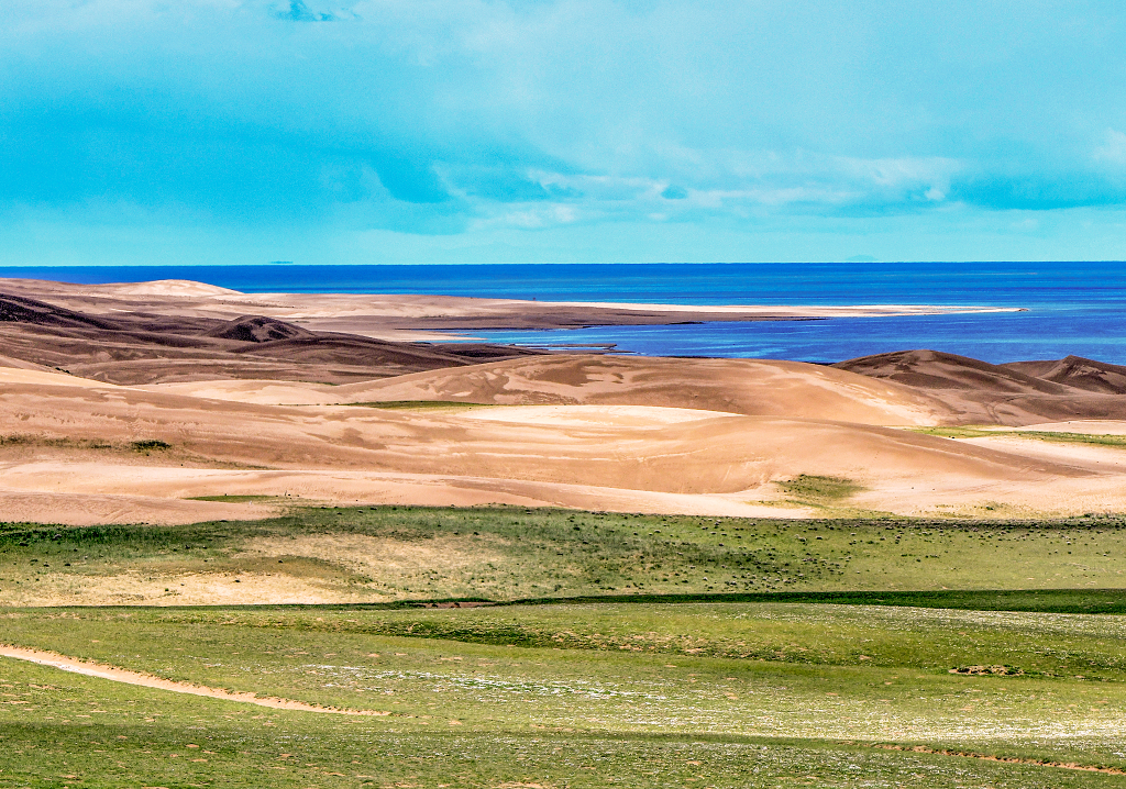 夏日青海湖畔的沙丘和草原大自然旅游旅行风景风光美景摄影图电脑桌面壁纸