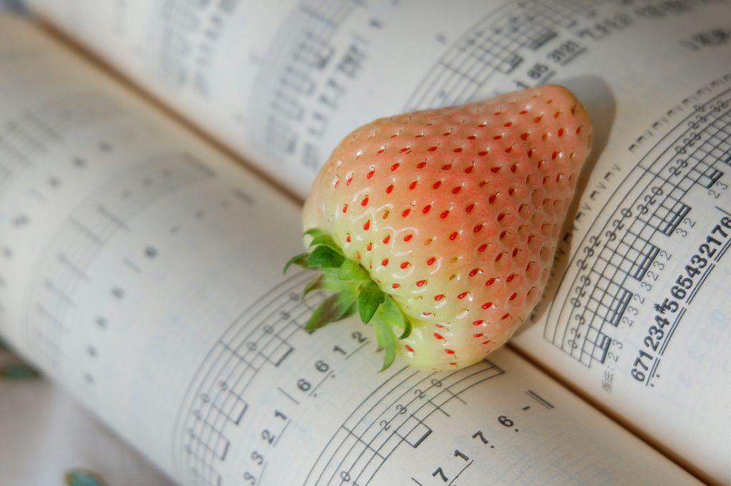 水果静物文艺清新草莓摄影特写