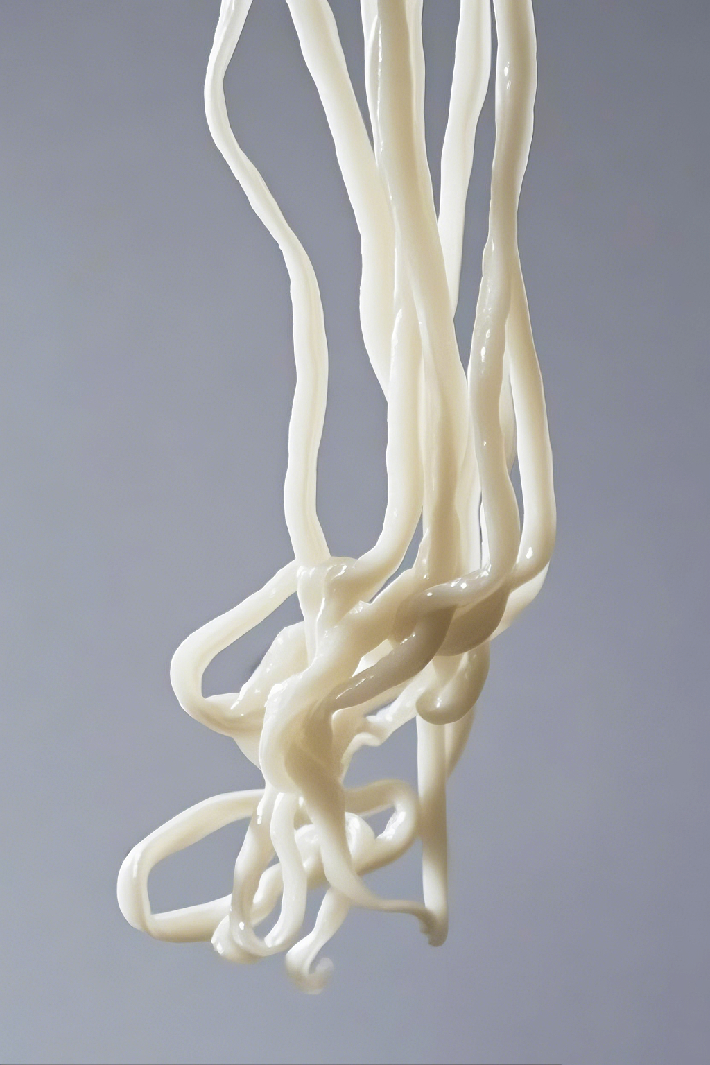 柔韧的手工面条悬挂着尽显美味潜力AI