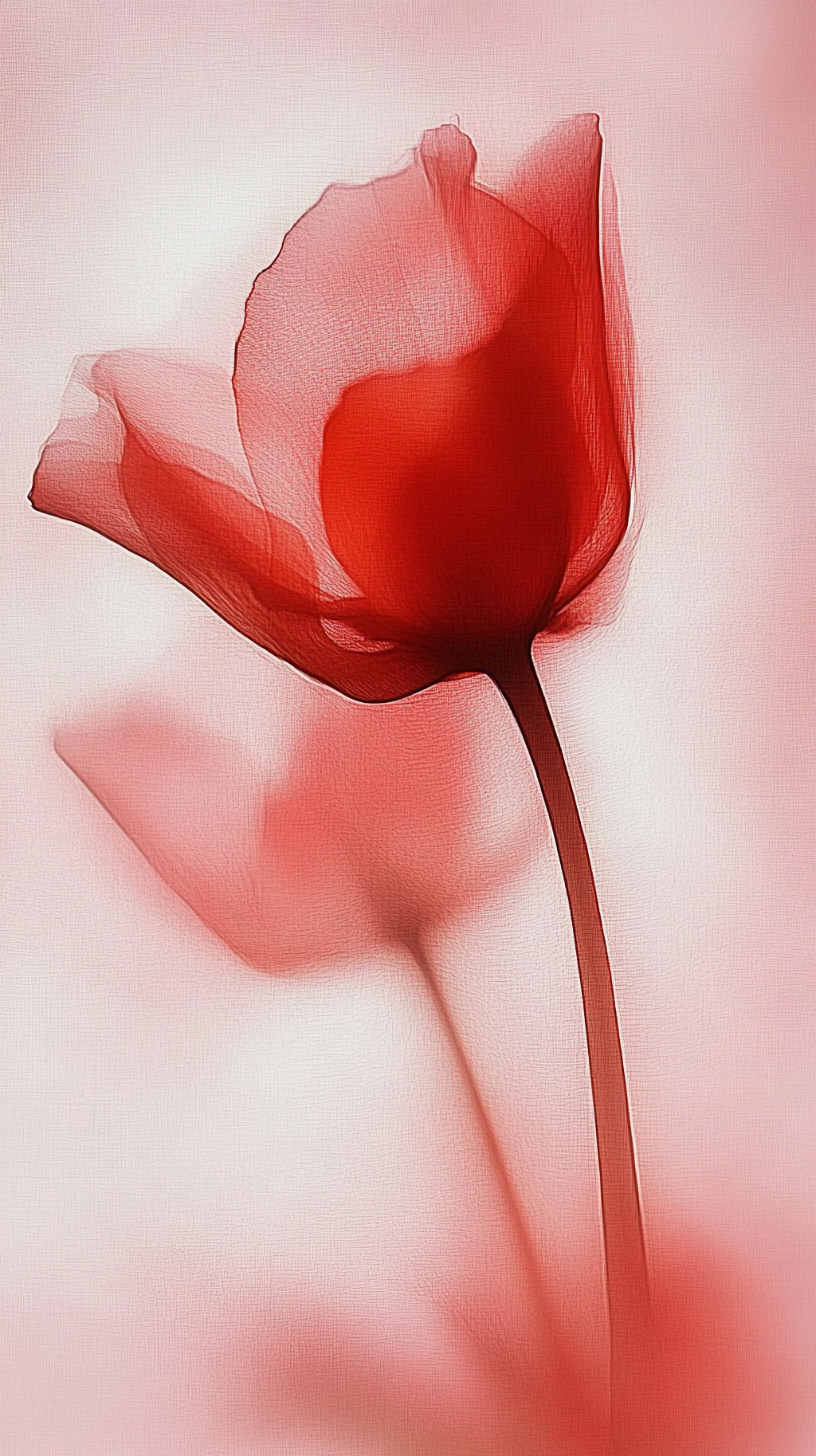 朦胧粉色背景中若隐若现的红色薄纱质感花朵AI