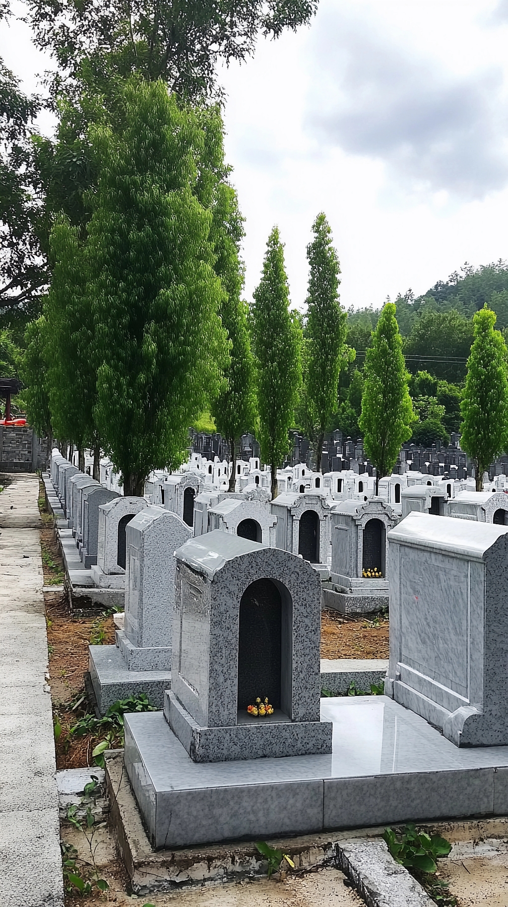 清明节祭祖清明时节宁静陵园中整齐排列的墓碑场景AI