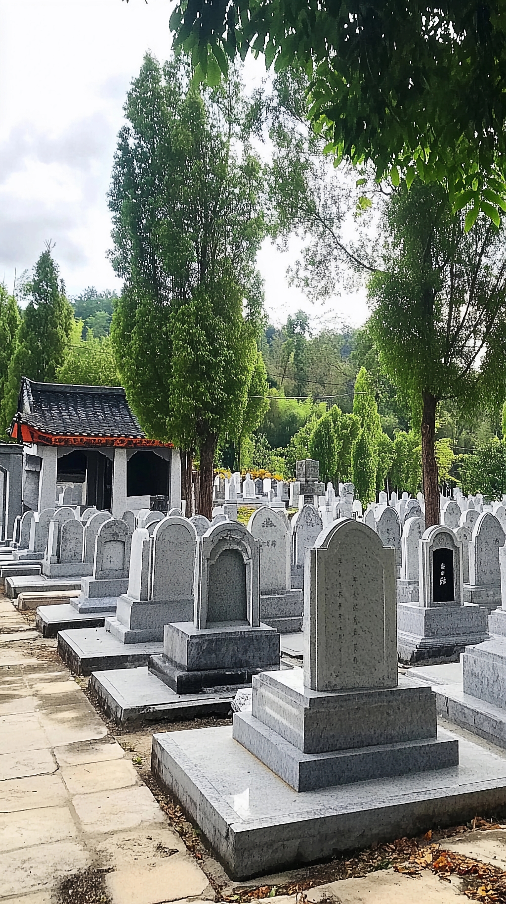 清明节祭祖清明时绿树环绕的陵园里排列着众多墓碑AI