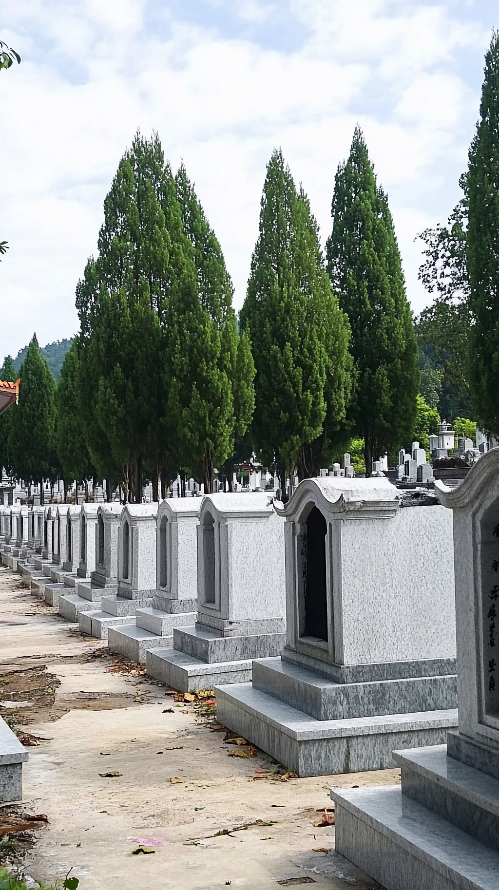 清明节祭祖清明时绿树环绕的陵园里排列着众多墓碑AI