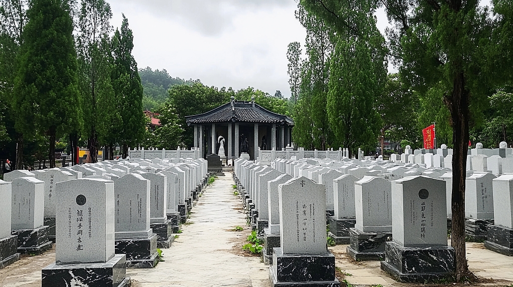 清明节祭祖清明时分陵园中绿树成荫下的墓碑阵列画面AI