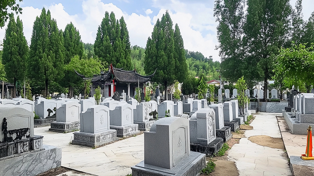 清明节祭祖清明陵园中绿树成荫下的墓碑阵列画面AI