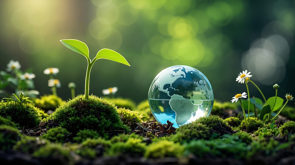 阳光照耀下绿色嫩苗与地球模型展现生命与希望AI