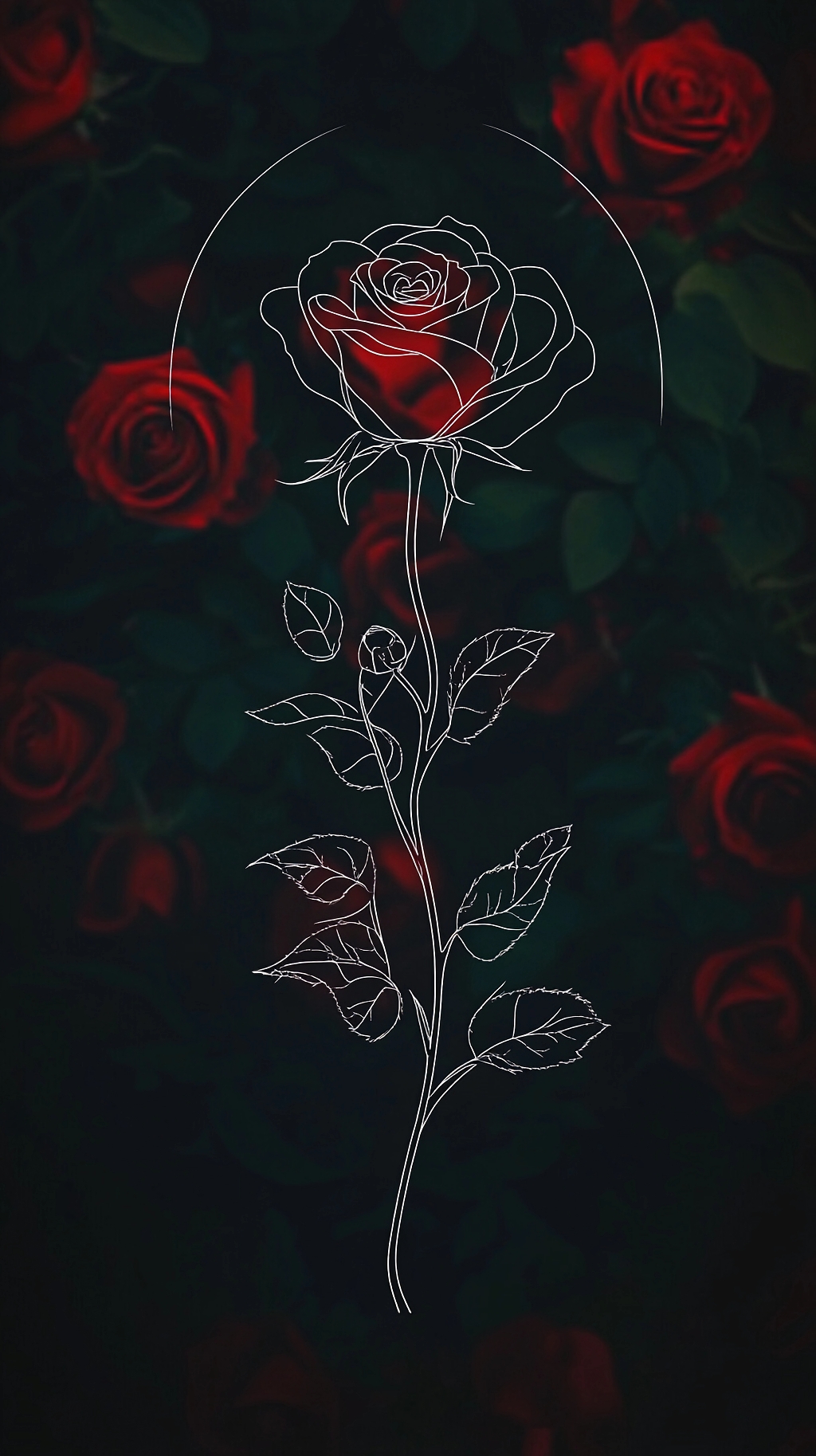 黑色背景中线条描绘红玫瑰展现独特爱情韵味AI
