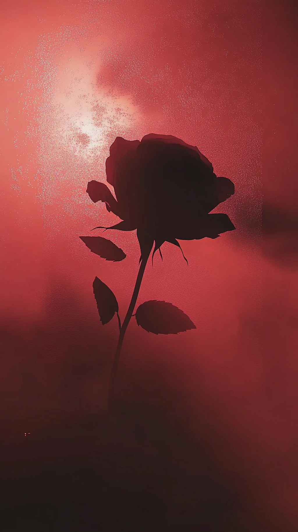 红色朦胧背景中玫瑰花的黑色唯美剪影图像AI