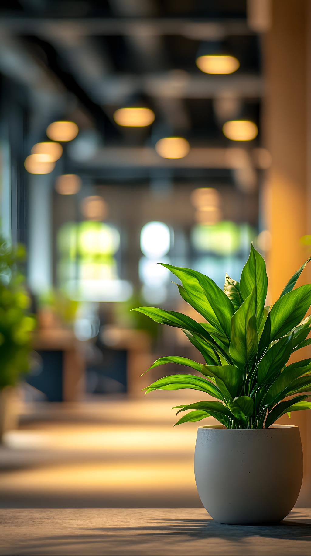 现代开放式办公室绿植装饰细节特写AI