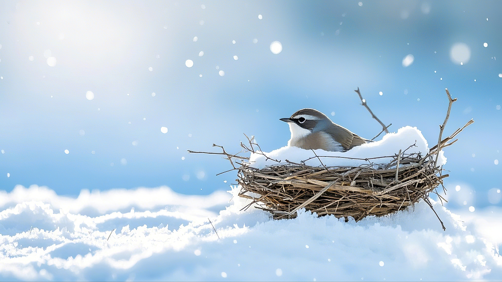 小鸟静卧在覆雪鸟巢中背景为飘雪蓝天AI