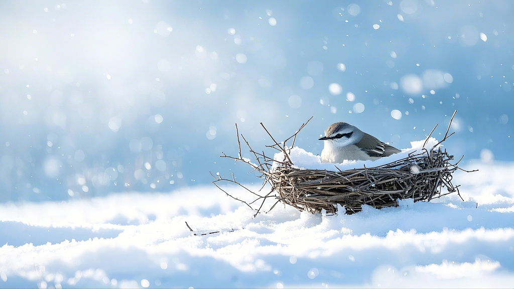 小鸟静卧在被雪覆盖的鸟巢中背景飘雪AI