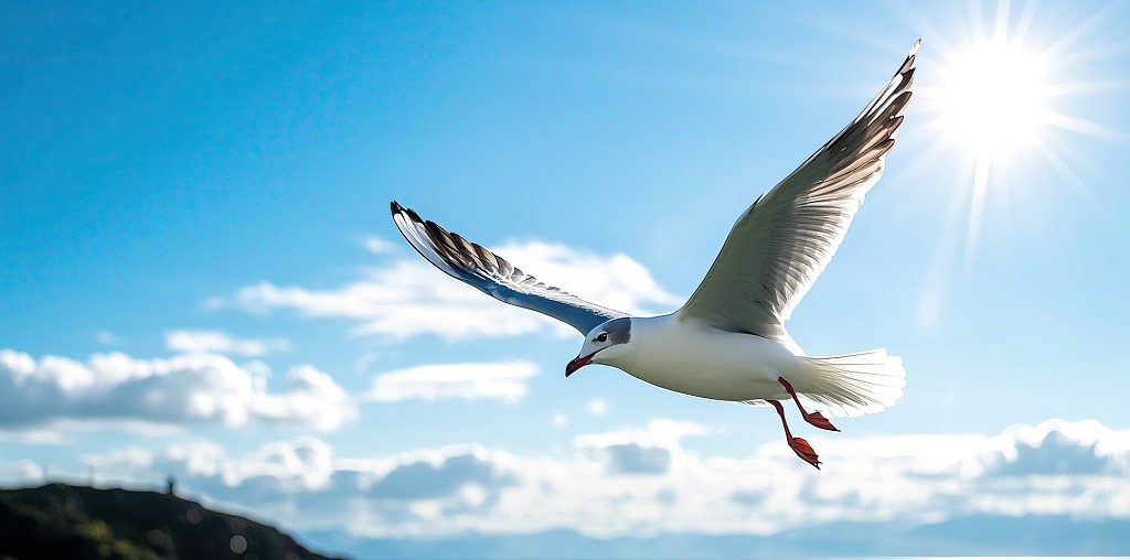 白色海鸥在阳光下蓝天中翱翔姿态优雅AI