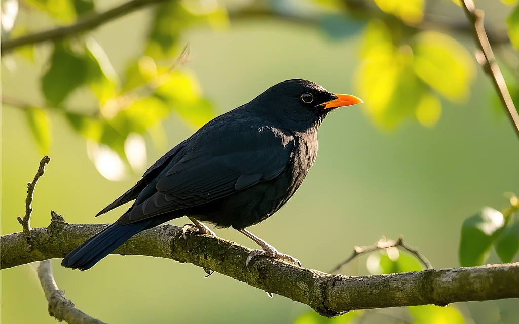 黑色小鸟栖息在树枝上的自然场景画面AI